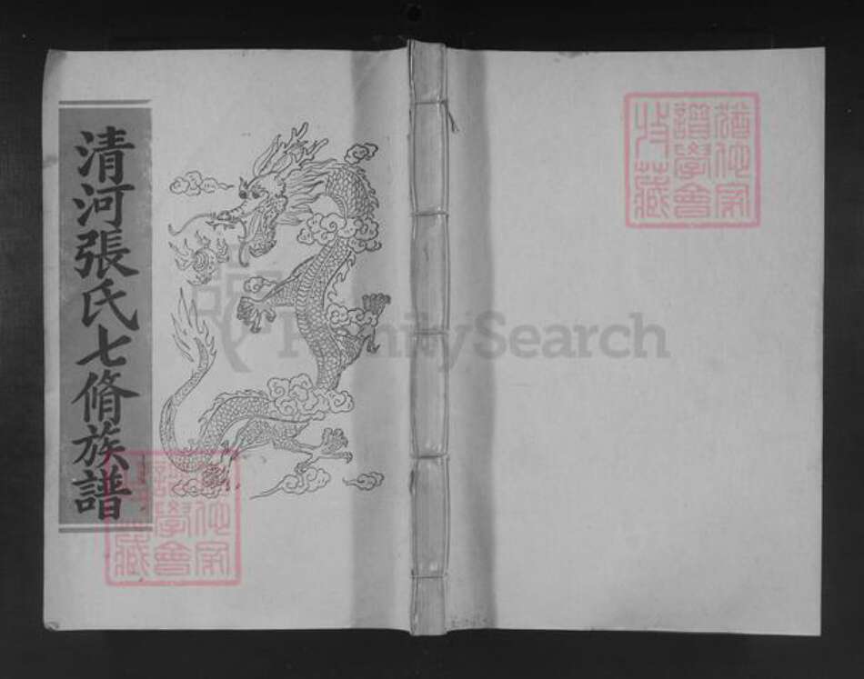 江西省赣州市宁都县张氏族谱-清河张氏城西七修族谱.pdf电子版缩略图