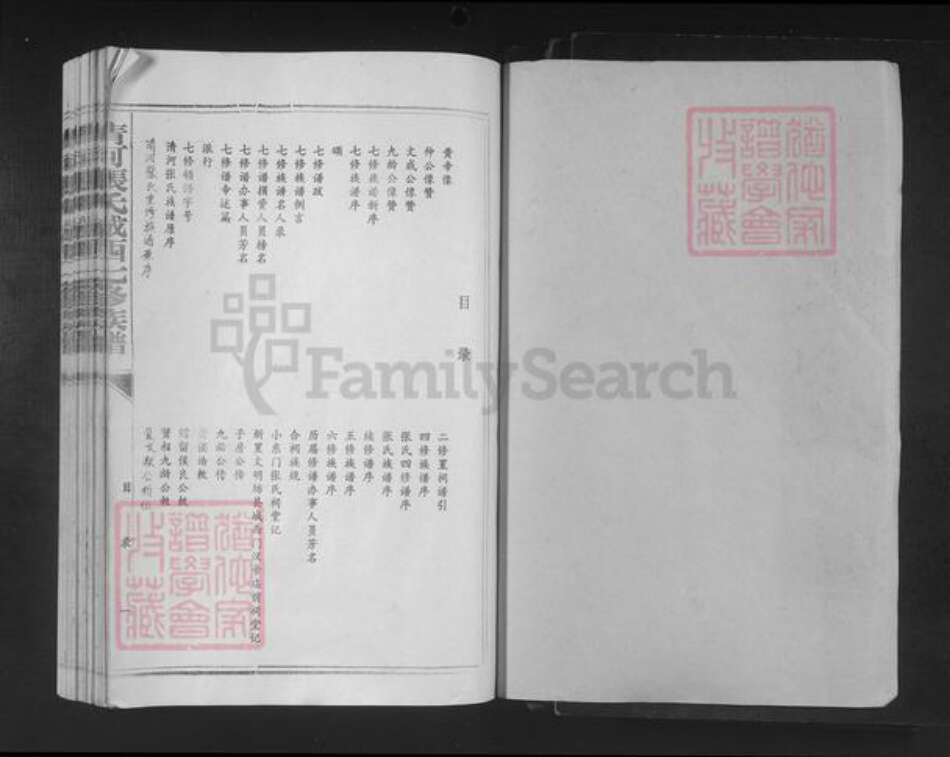 江西省赣州市宁都县张氏族谱-清河张氏城西七修族谱.pdf电子版预览图1