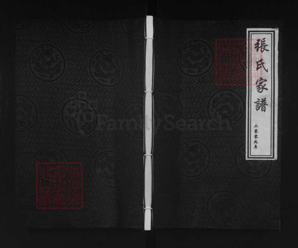 河北省沧州黄骅市官庄乡张氏族谱-张氏家谱.pdf电子版缩略图
