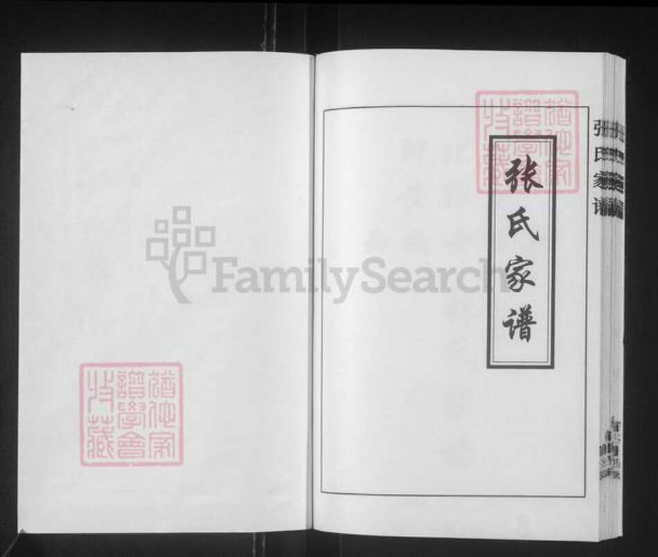 河北省沧州黄骅市官庄乡张氏族谱-张氏家谱.pdf电子版预览图1