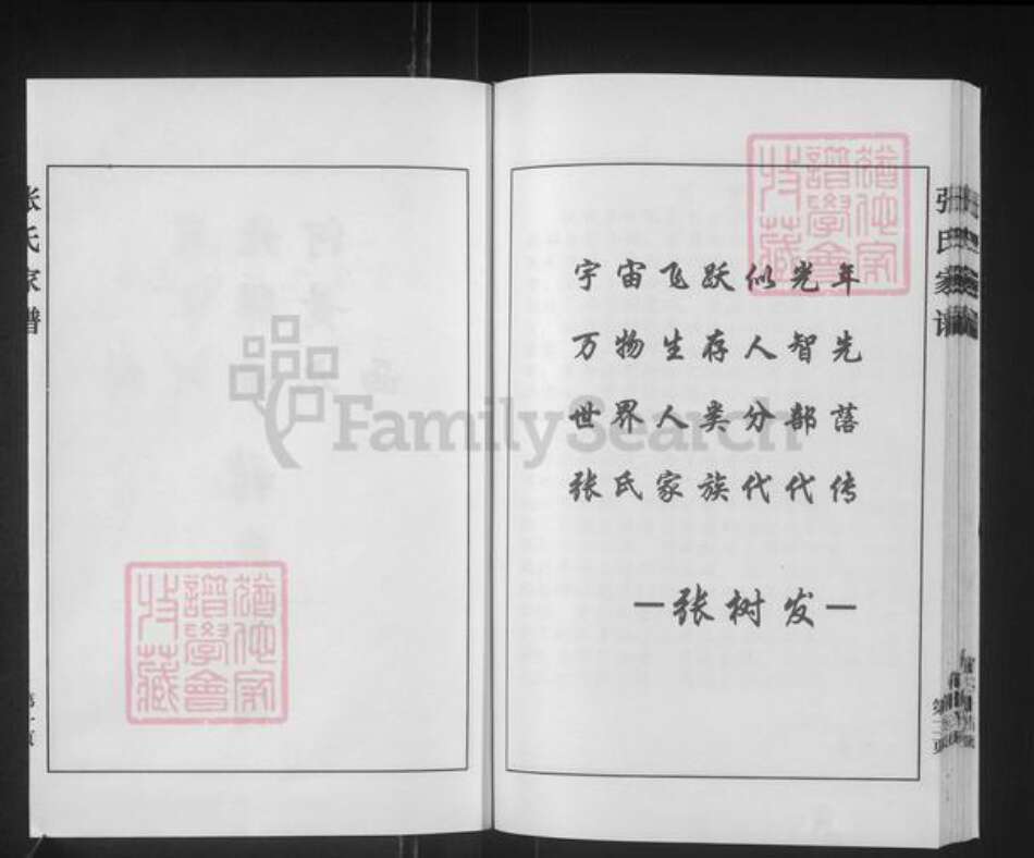 河北省沧州黄骅市官庄乡张氏族谱-张氏家谱.pdf电子版预览图3