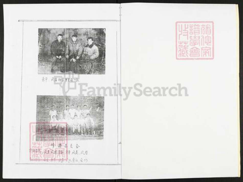 河南省焦作市沁阳市王曲乡张氏族谱-张氏族谱.pdf电子版预览图2