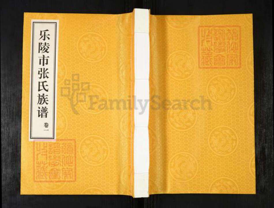 山东省德州市乐陵市张氏族谱-乐陵市张氏族谱.pdf电子版缩略图