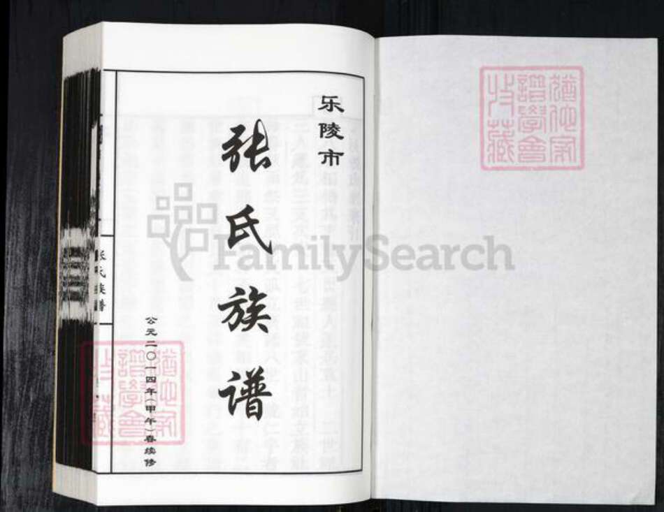 山东省德州市乐陵市张氏族谱-乐陵市张氏族谱.pdf电子版预览图1