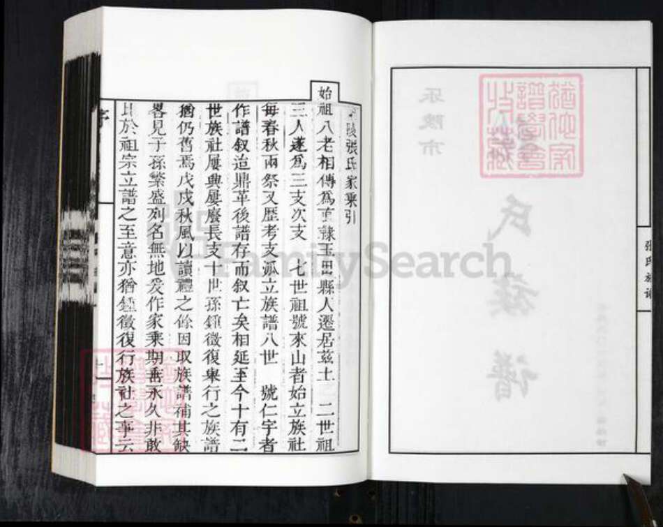 山东省德州市乐陵市张氏族谱-乐陵市张氏族谱.pdf电子版预览图2