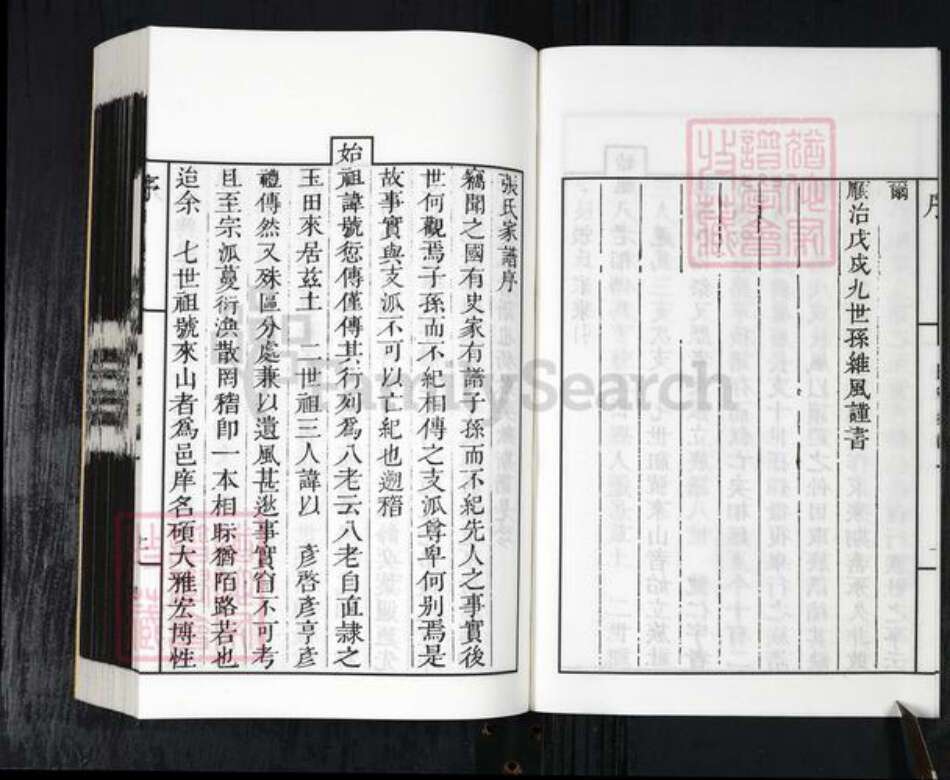 山东省德州市乐陵市张氏族谱-乐陵市张氏族谱.pdf电子版预览图3