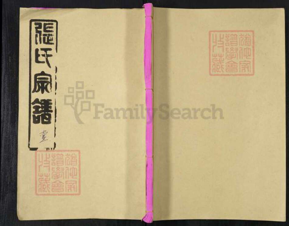 湖北省黄冈市张氏敦本堂族谱-张氏宗谱.pdf电子版缩略图