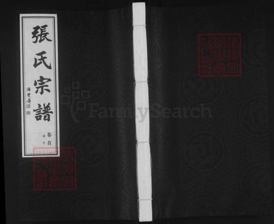 江苏省常州市武进县张氏二铭堂族谱-张氏宗谱.pdf电子版缩略图