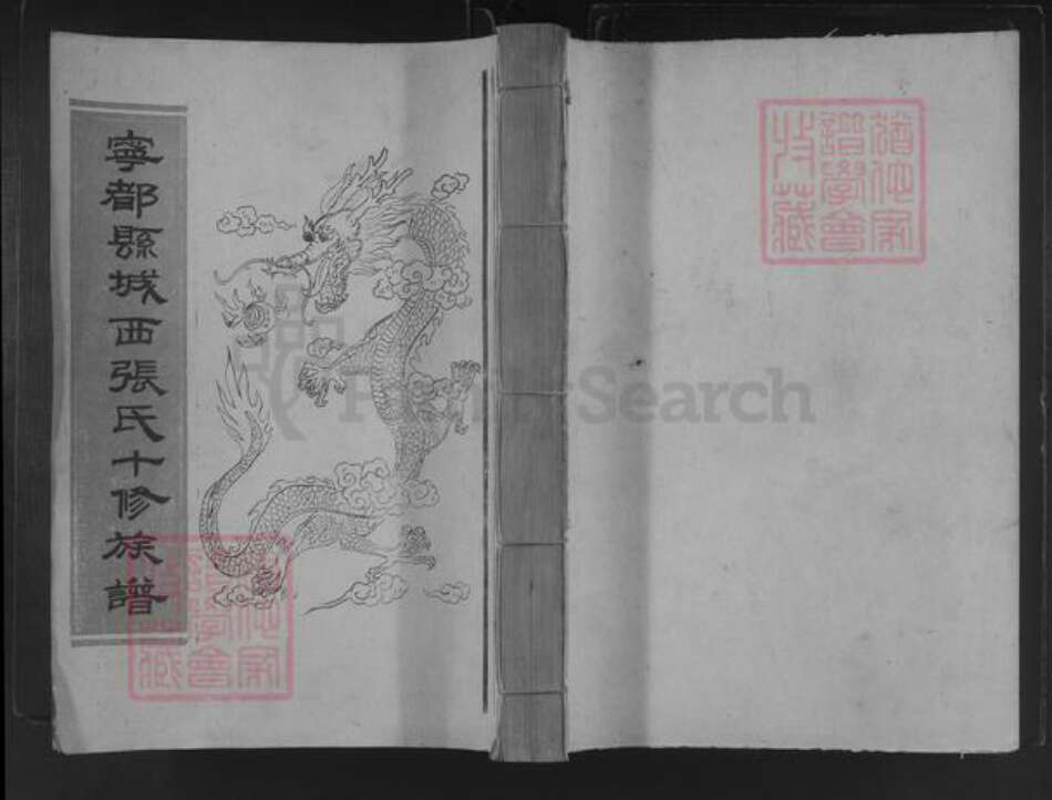 江西省赣州市宁都县张氏族谱-宁都县城西张氏十修族谱.pdf电子版缩略图