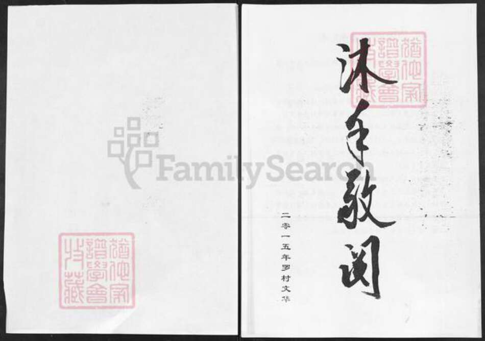 山东省淄博市淄川区张氏族谱-张氏支谱.pdf电子版预览图1