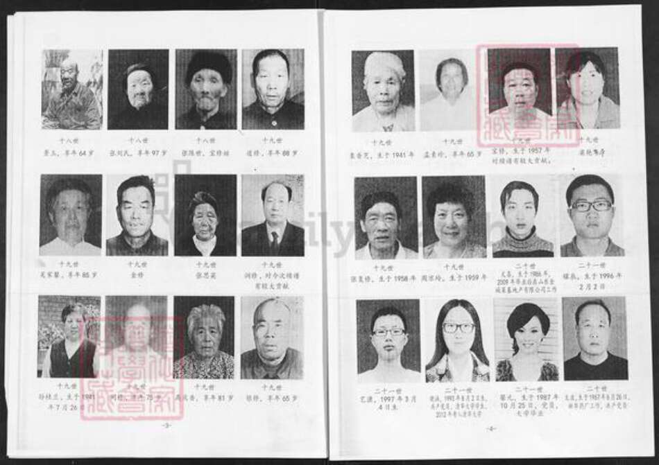 山东省淄博市淄川区张氏族谱-张氏支谱.pdf电子版预览图3