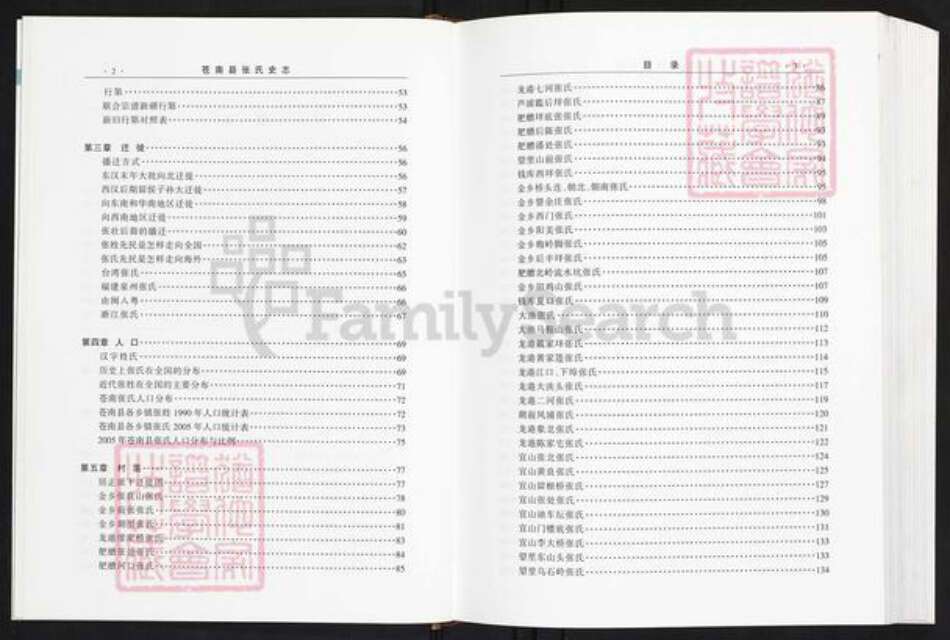 浙江省温州市苍南县金乡镇张氏族谱-苍南张氏史志.pdf电子版预览图4