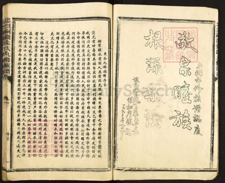 江西省赣州市宁都县小布镇张氏族谱-忠烈嗣徽张氏九修族谱.pdf电子版预览图2