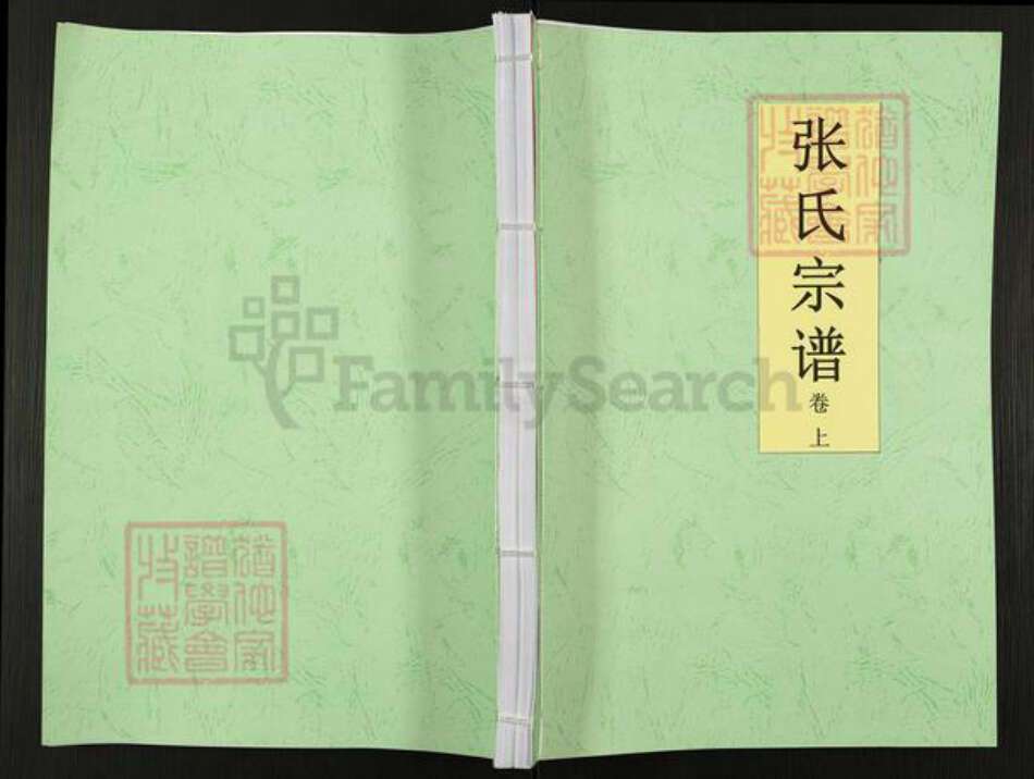 海南省万宁市东澳镇张氏孝友堂族谱-张氏宗谱.pdf电子版缩略图