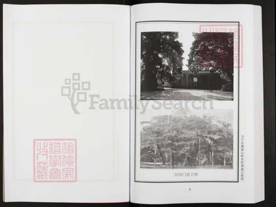 海南省万宁市东澳镇张氏孝友堂族谱-张氏宗谱.pdf电子版预览图5