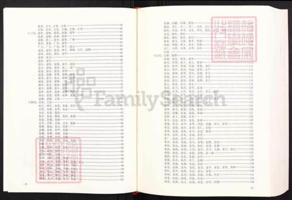 云南省保山市腾冲市张氏族谱-张氏支系族谱.pdf电子版预览图2