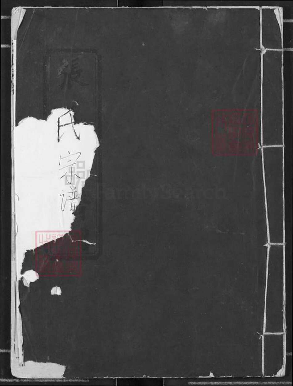 湖北省天门市张氏清河堂族谱-张氏宗谱.pdf电子版缩略图