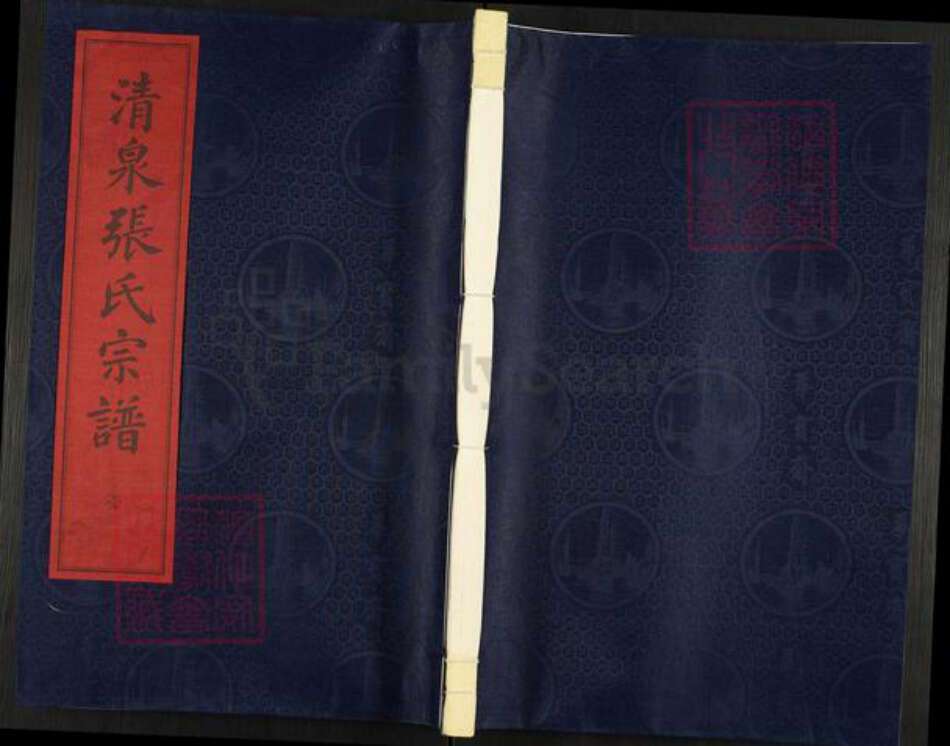 浙江省宁波市镇海区北仑张氏族谱-清泉张氏宗谱.pdf电子版缩略图