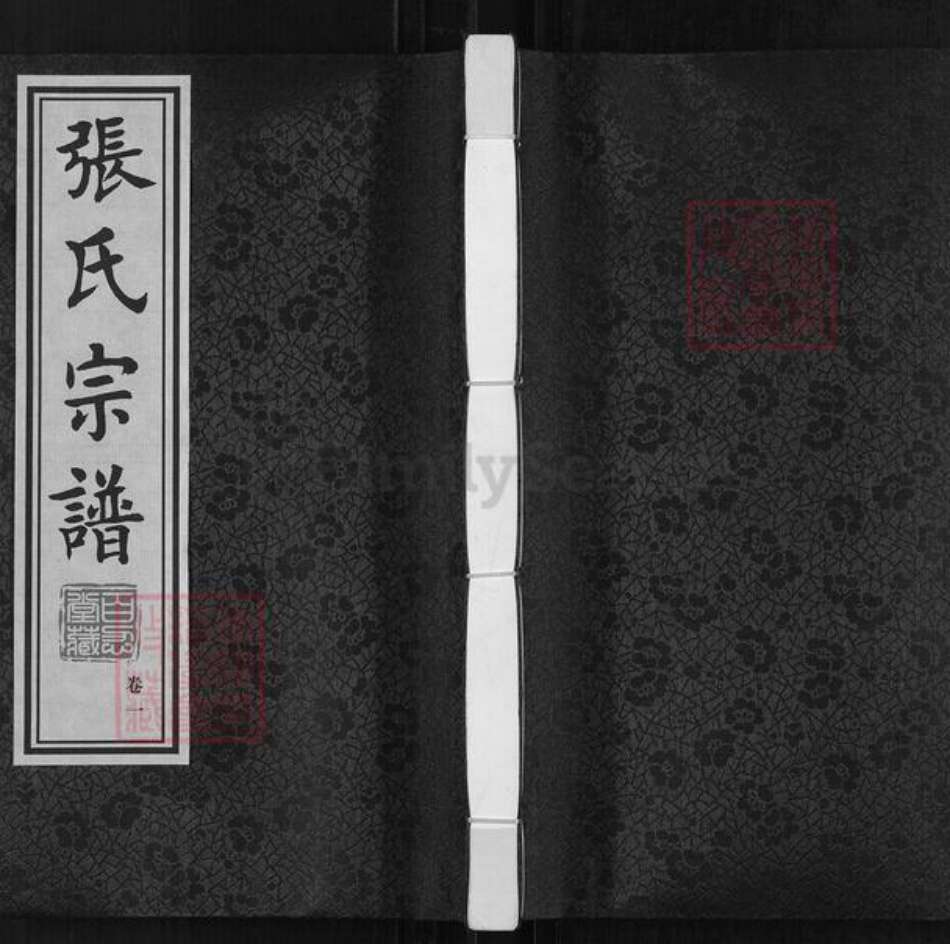 江苏省常州市武进县牛塘镇张氏百忍堂族谱-张氏宗谱.pdf电子版缩略图