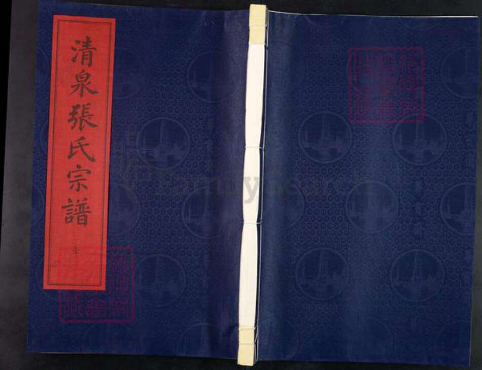 浙江省宁波市镇海区北仑张氏族谱-清泉张氏宗谱.pdf电子版缩略图