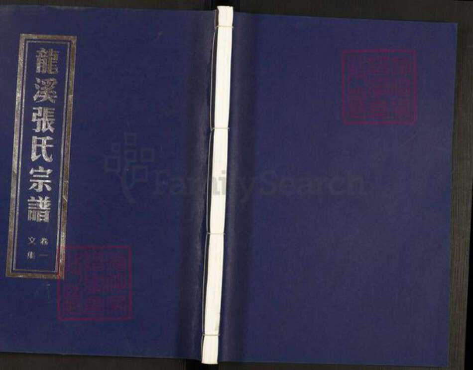 浙江省金华市浦江县张氏族谱-龙溪张氏宗谱.pdf电子版缩略图