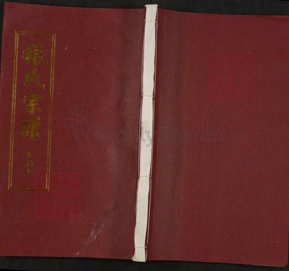 湖北省武汉市新洲区张氏遵忍堂族谱-张氏宗谱.pdf电子版缩略图