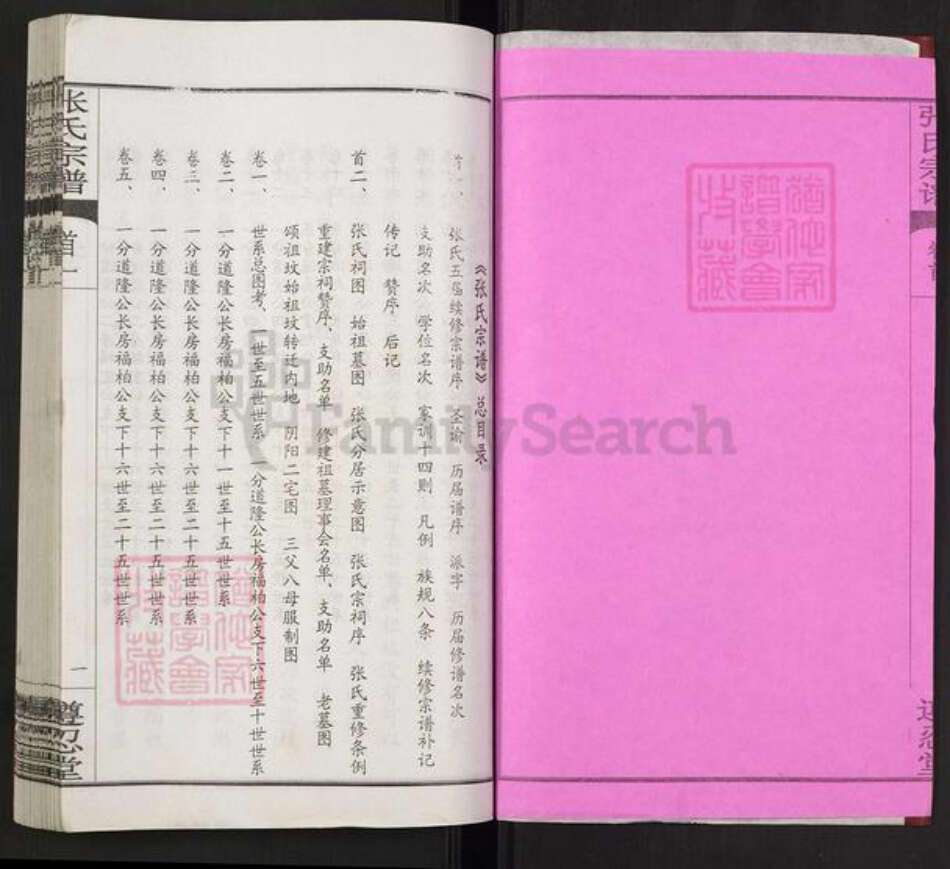 湖北省武汉市新洲区张氏遵忍堂族谱-张氏宗谱.pdf电子版预览图2