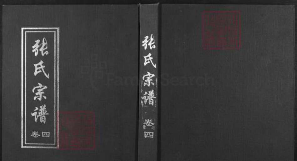 湖北省武汉市新洲区张氏志远堂族谱-张氏宗谱.pdf电子版缩略图