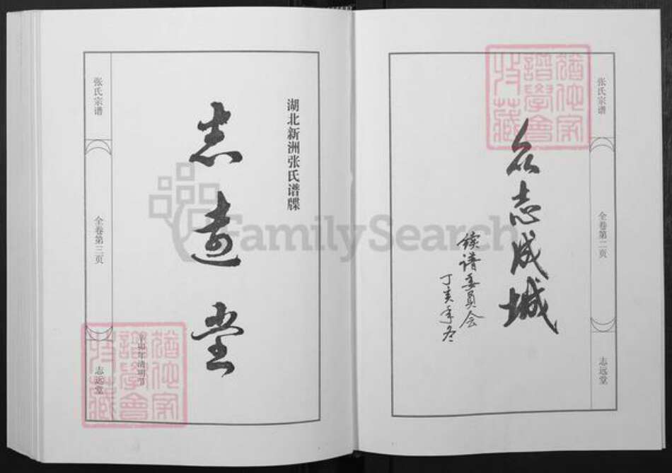 湖北省武汉市新洲区张氏志远堂族谱-张氏宗谱.pdf电子版预览图2