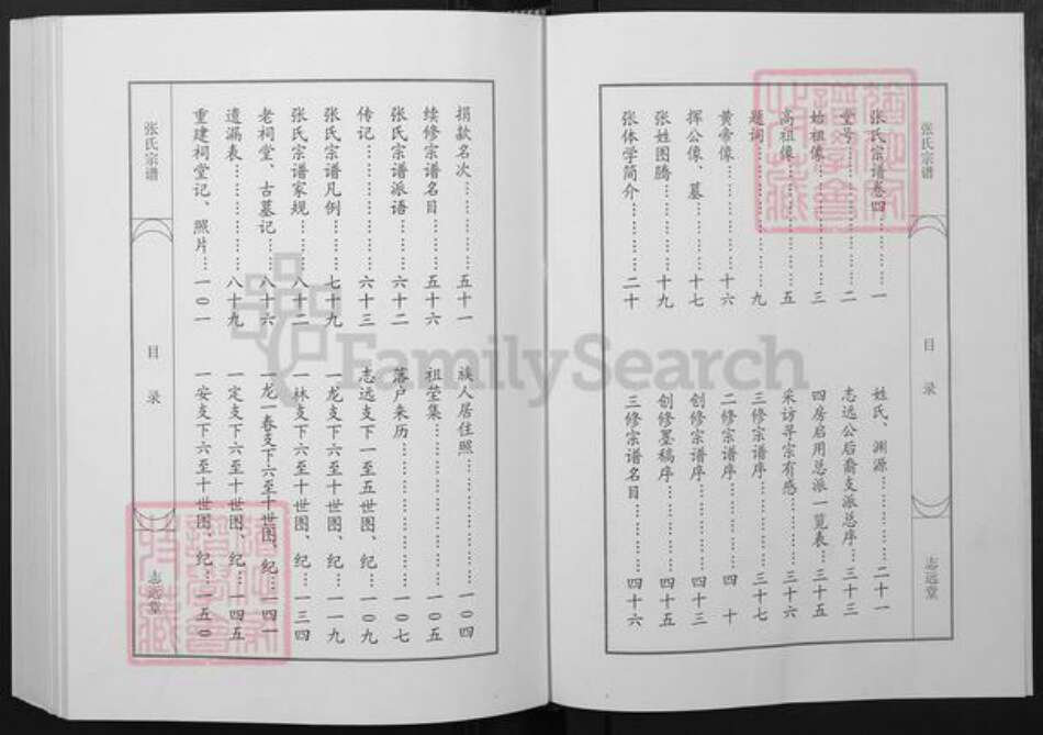 湖北省武汉市新洲区张氏志远堂族谱-张氏宗谱.pdf电子版预览图3