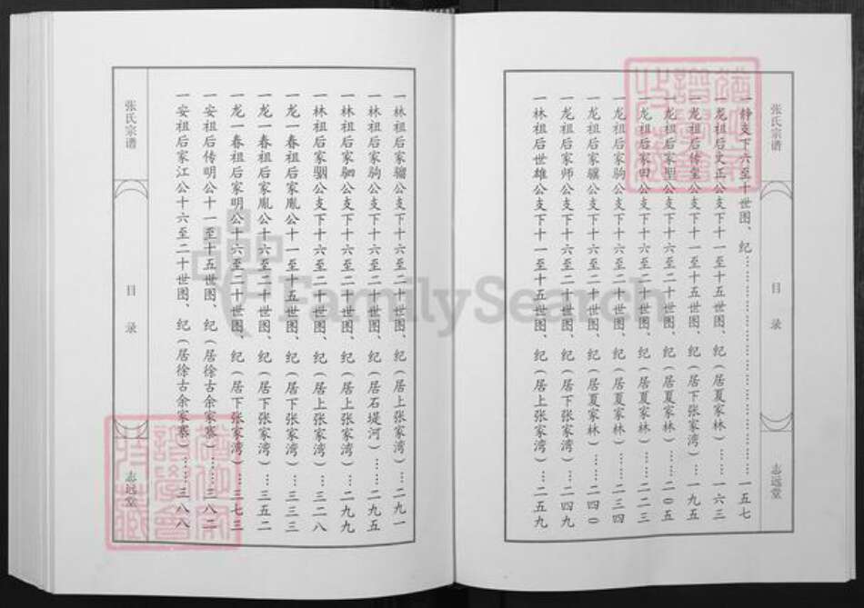 湖北省武汉市新洲区张氏志远堂族谱-张氏宗谱.pdf电子版预览图4