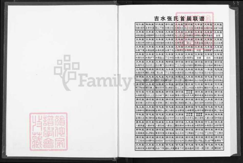 江西省吉安市吉水县张氏清河堂族谱-张氏族谱.吉水首届联谱.pdf电子版预览图1