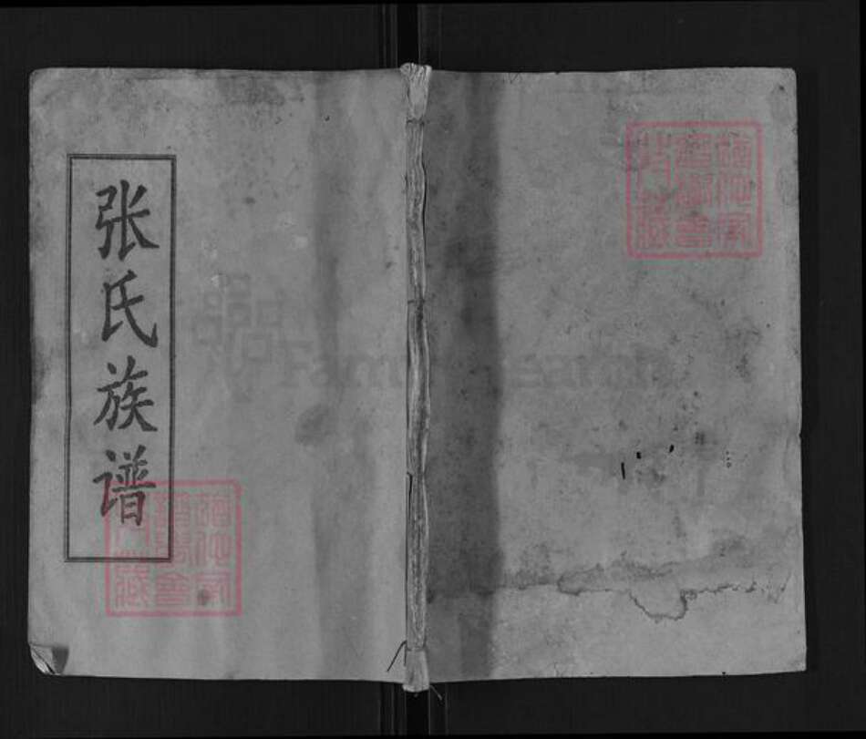 湖南省岳阳市平江县张氏清河堂族谱-张氏族谱.pdf电子版缩略图