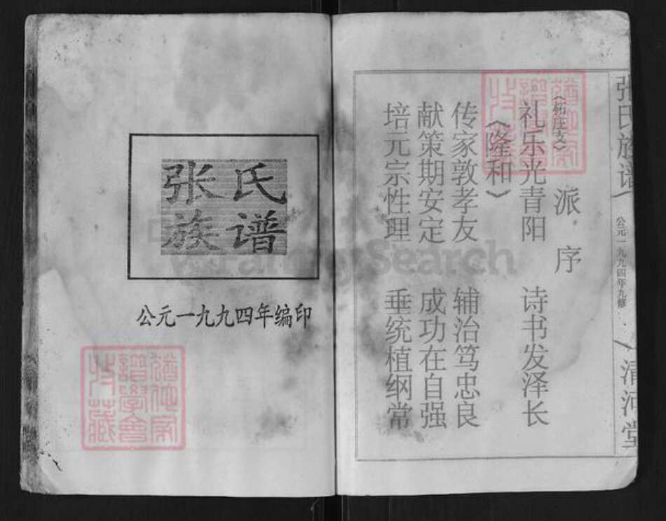 湖南省岳阳市平江县张氏清河堂族谱-张氏族谱.pdf电子版预览图2