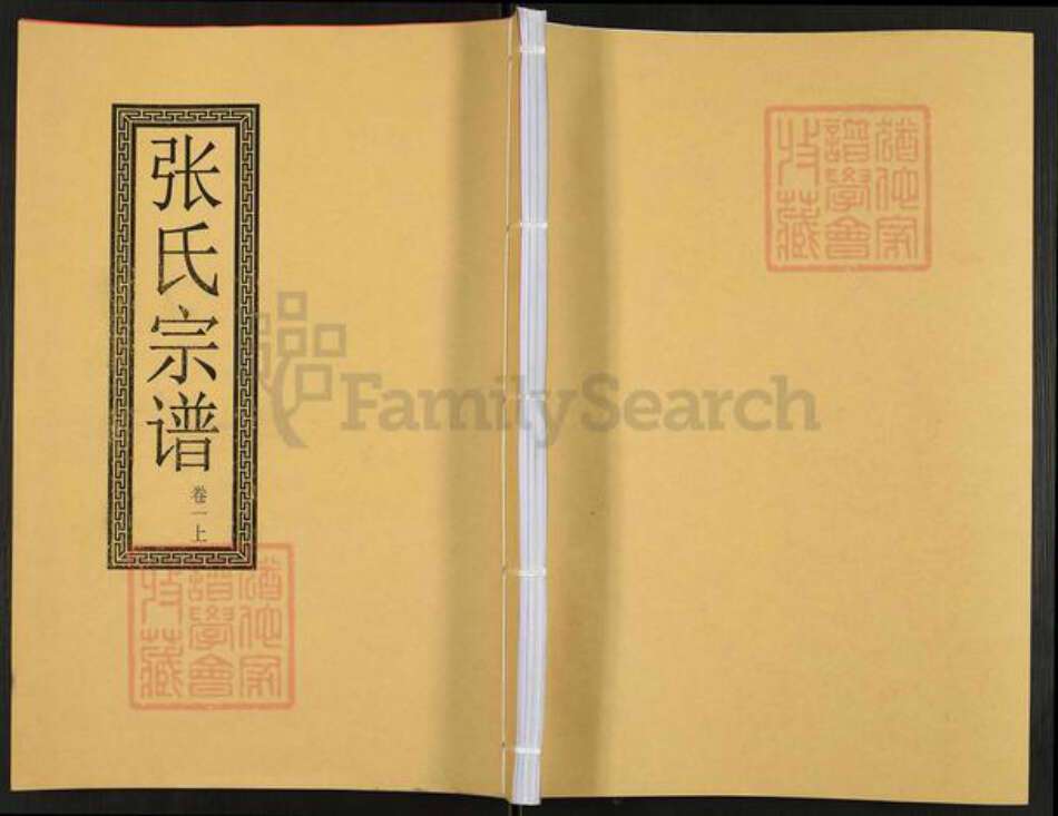 安徽省合肥市肥东县石塘镇张氏百忍堂族谱-张氏宗谱.pdf电子版缩略图