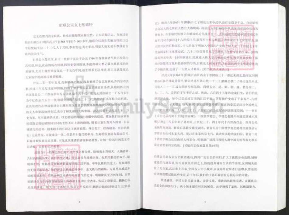 湖北省孝感市汉川市张氏族谱-张氏宗谱.伯瑛支上.pdf电子版预览图4