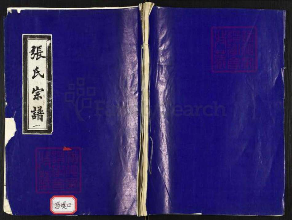 山东省潍坊市青州市张氏族谱-张氏宗谱.pdf电子版缩略图