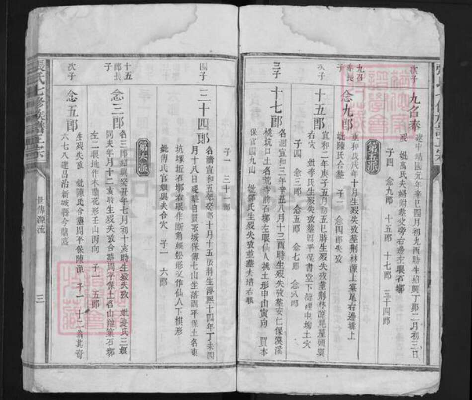 福建省江西省赣州市宁都县张氏族谱-张氏七修族谱正宗 [6卷].pdf电子版预览图2