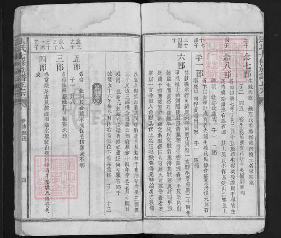 福建省江西省赣州市宁都县张氏族谱-张氏七修族谱正宗 [6卷].pdf电子版预览图3