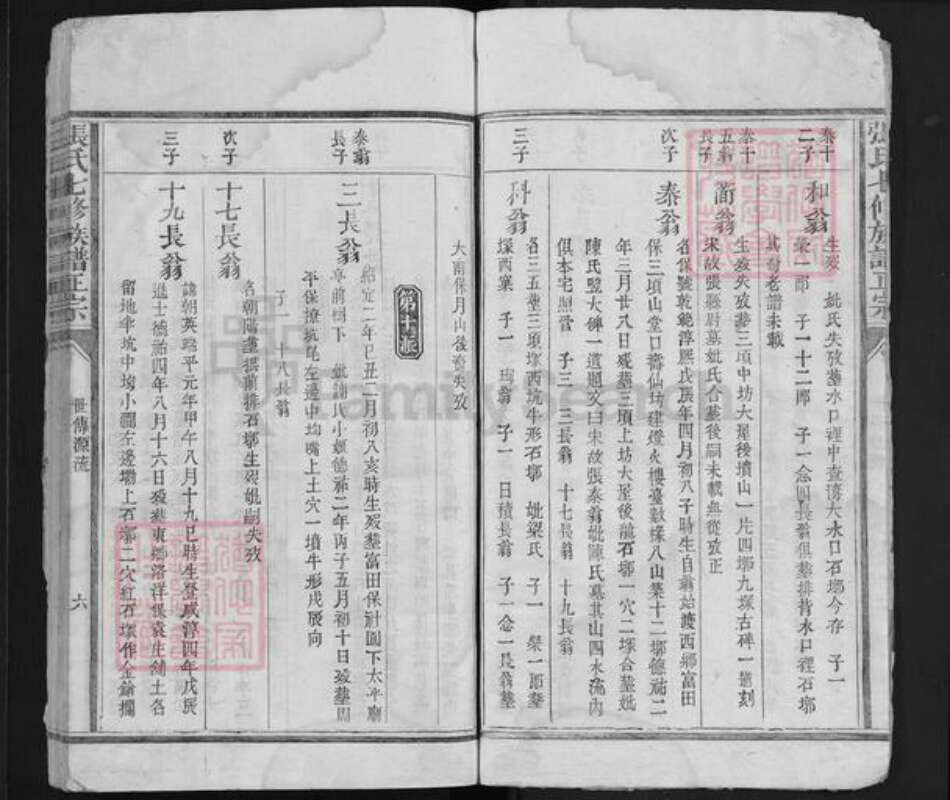 福建省江西省赣州市宁都县张氏族谱-张氏七修族谱正宗 [6卷].pdf电子版预览图5