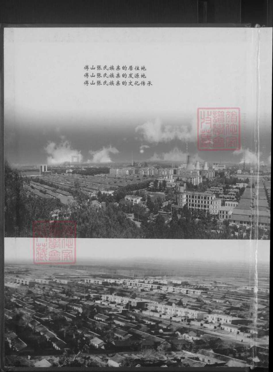 山东省淄博市张氏族谱-傅山张氏家谱 [不分卷].pdf电子版预览图2