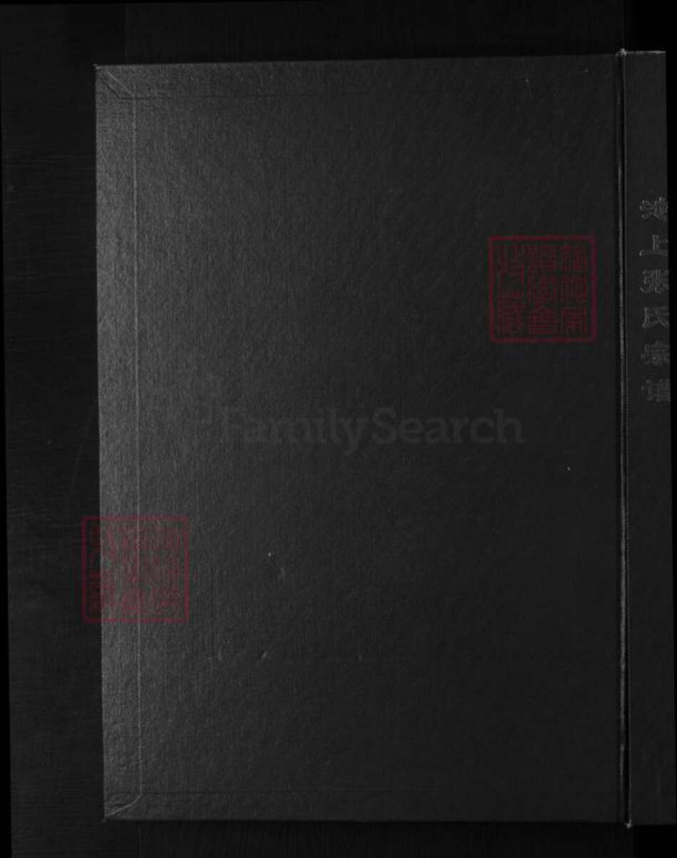 山西省忻州市原平市张氏族谱-池上张氏宗谱 [不分卷].pdf电子版缩略图