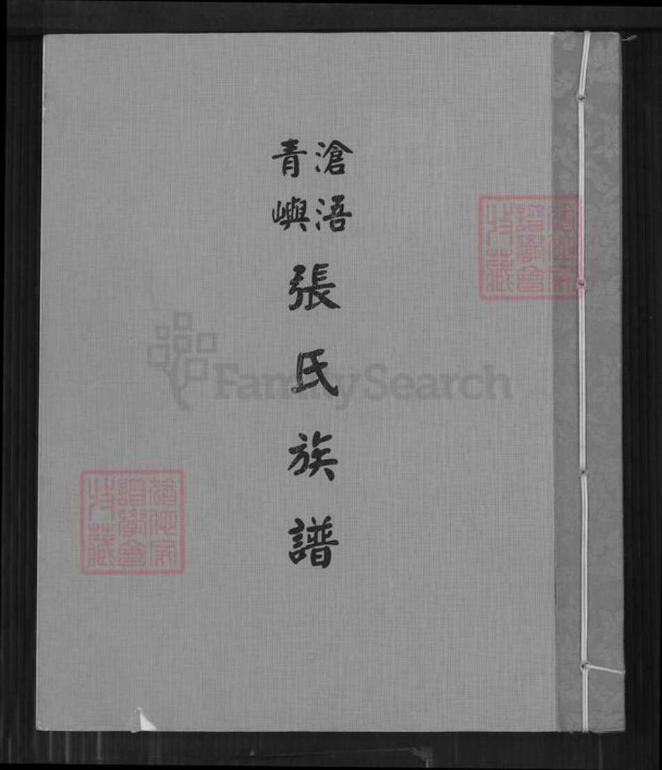 福建省福州市福清市沙埔镇张氏重思堂族谱-张氏族谱.pdf电子版缩略图
