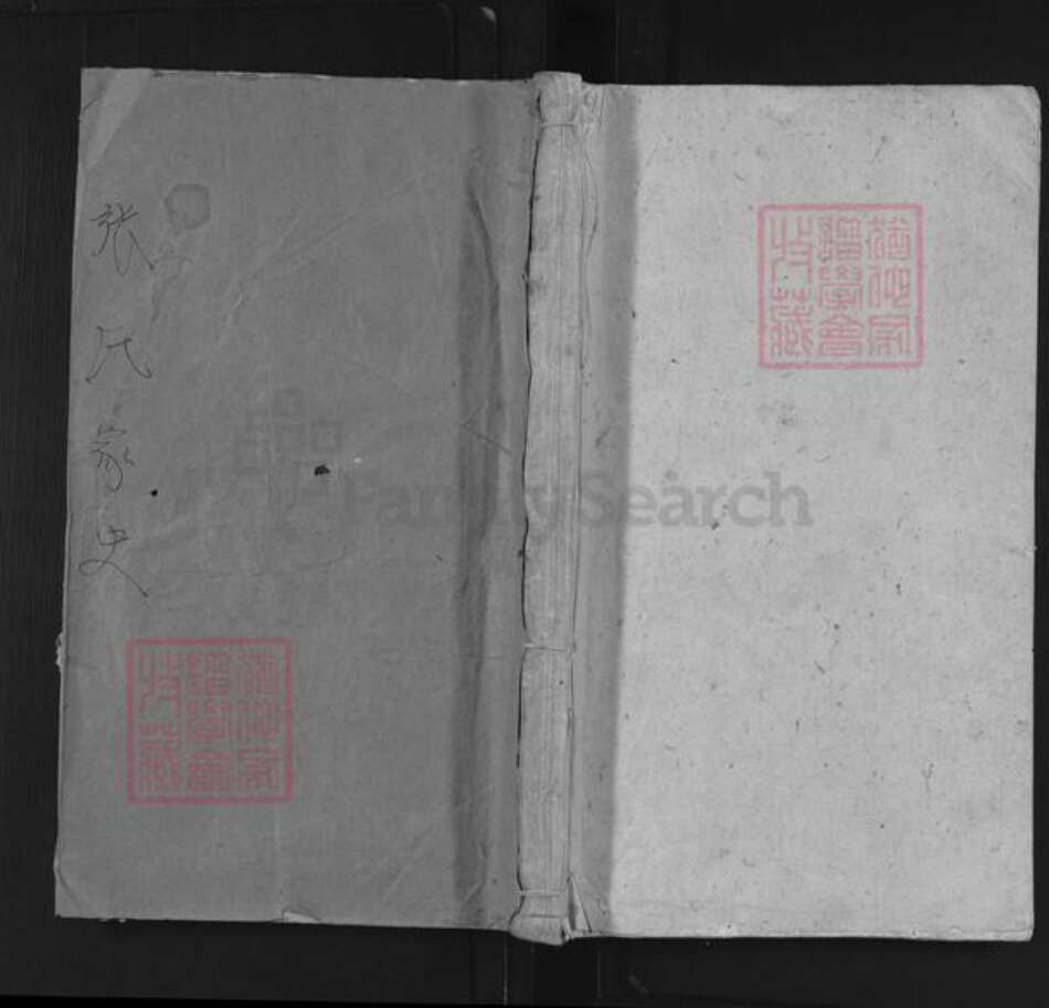 安徽省安庆市潜山市张氏百忍堂族谱-张氏家史.pdf电子版缩略图