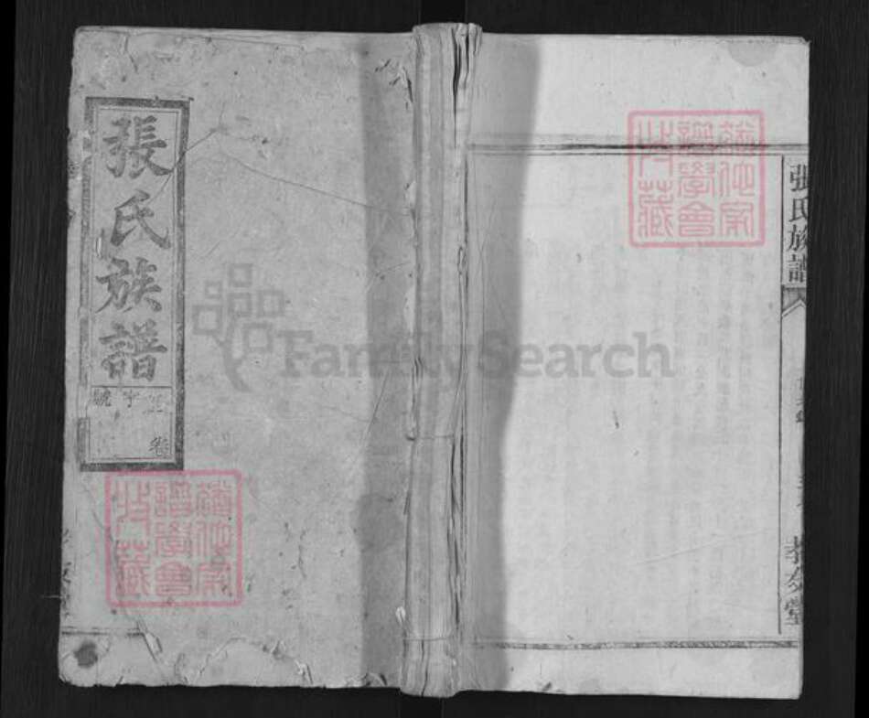 江西省九江市彭泽县张氏孝友堂族谱-张氏族谱.pdf电子版缩略图