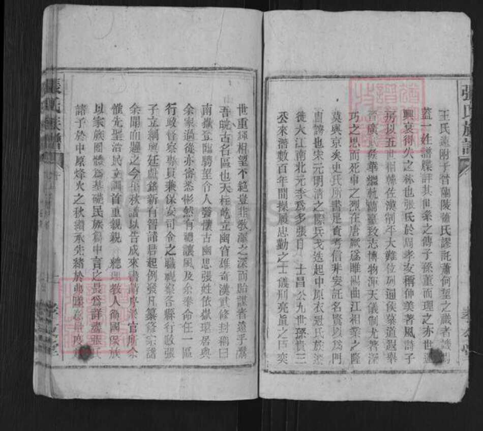 江西省九江市彭泽县张氏孝友堂族谱-张氏族谱.pdf电子版预览图2