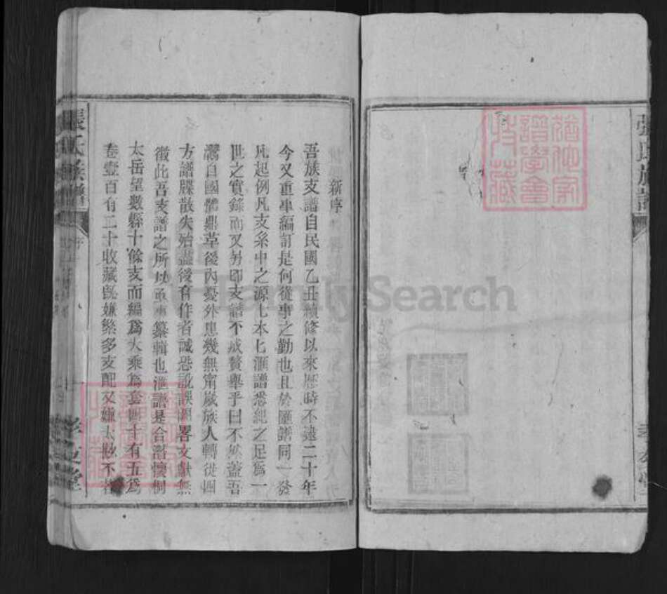 江西省九江市彭泽县张氏孝友堂族谱-张氏族谱.pdf电子版预览图4