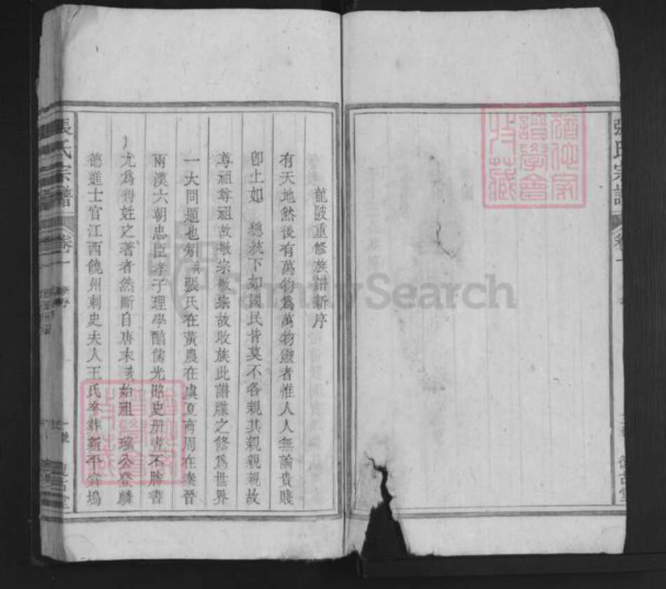 江西省萍乡市上栗县赤山镇张氏复古堂族谱-张氏宗谱.pdf电子版预览图3