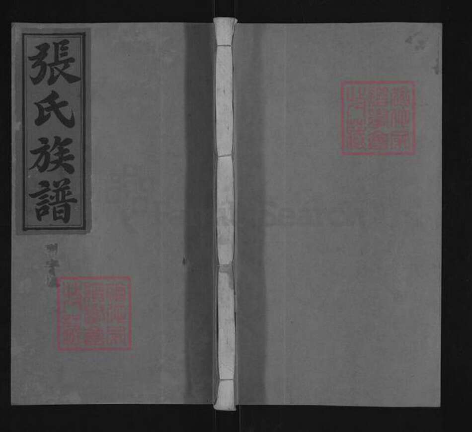 湖南省株洲市茶陵县张氏万选堂族谱-张氏族谱.pdf电子版缩略图