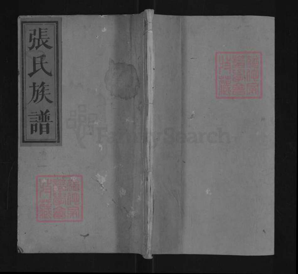 湖南省怀化市洪江市张氏高选堂族谱-张氏族谱.pdf电子版缩略图